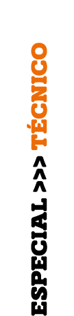 especial    t cnico